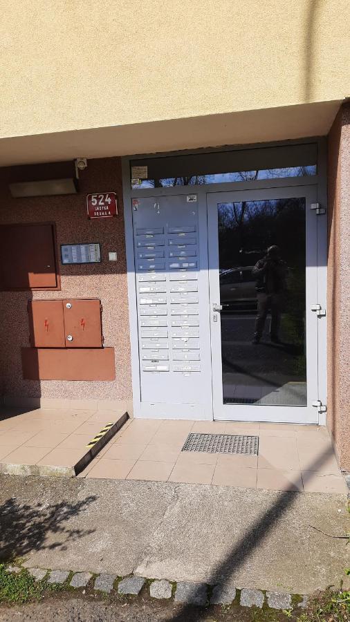 Apartmán Kamyk *